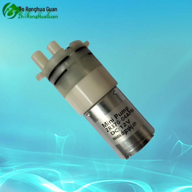 Ronghua Miniature Electric Self-Priming Water Pump for Household Use