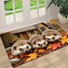 Cute Hedgehogs Autumn Maple Leaf Flannel Doormat Non Slip Front Entry Floor Mat Fall Season Rustic Household Entrance Decor Rug