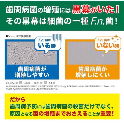 [.co.jp Exclusive] [Bulk Purchase of 2] GUM Plus Dental Paste Medicated Toothpaste, Herb Mint, 120g x 2