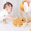 One Cute (Sound & Jump) Rabbit Doll (2AA Batteries)