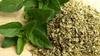OREGANO 20 G - GIFTS OF NATURE