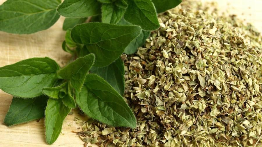 OREGANO 20 G - GIFTS OF NATURE