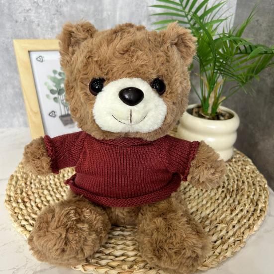 Teddy Bear Plush Toy with Hoodie Soft Stuffed Animal for Christmas Gift Cartoon Huggable Plush Doll for Kids