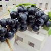 2025 Artificial Grapes A Bunch Of Grapes Plastic Fakes Fruit Food Decor Decoration Artificial Fruit Fakes Fruits Decoration