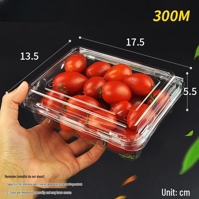 Handon Round Disposable Fruit Box