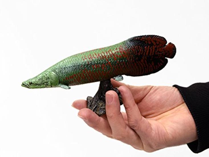 Pirarucu Soft Model (FF-002)