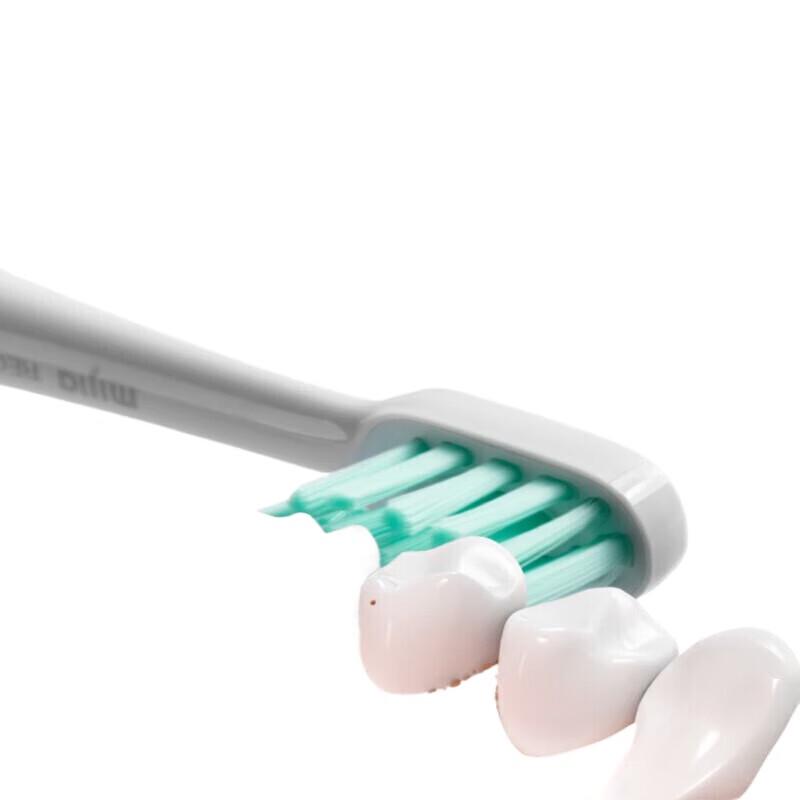 

Xiaomi Sonic Electric Toothbrush T300