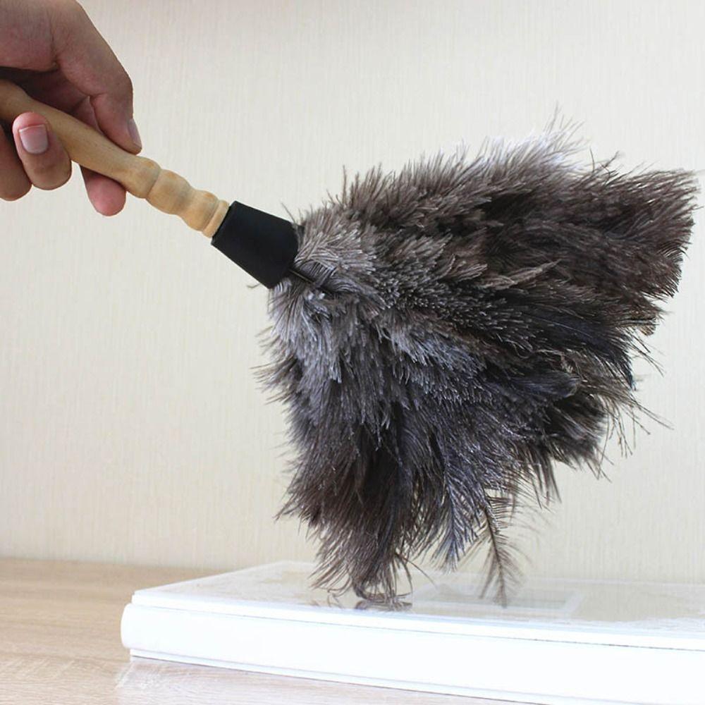 Buy Home Dust Removal Tools Antistatic Ostrich Duster Feather Fur