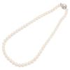 SV925 [Good Condition] SILVER 7-0.3" Pearl Necklace Silver / WhiteUsed