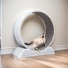 Silent Cat Treadmill Running Wheel Exercise Fitness Scratching Board Large Cat Tree Toy for Cats