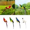 Artificial Bird 60cm Model Sculpture Lifelike Foam Bird with Claw Feather Parrot for party Patio Yard Outside