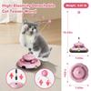 3-in-1 Interactive Cat Toy for Indoor Cats - Exciting Teaser Wand, Ball Track and Whack-a-Mole Game - No Batteries Needed Sturdy
