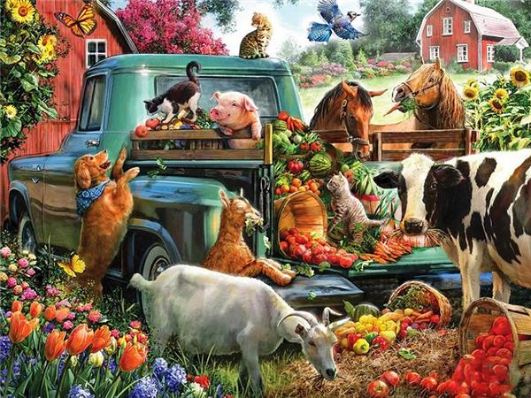 Ferme Mozaic complet cu diamante Peisaj Animale Câini Tablouri decorative 5d Diamante Poză Diamont Instrumente de pictură Artă de broderie