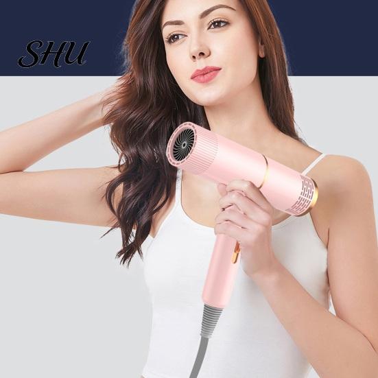 Salon-quality Hair Care Technology Dryer Household with 800W High-Power Blue Light Negative Ion Blow Double Collagen And Protection Women Men for Mute