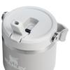 Stanley 1913 Iceflow Flip Straw 2.0 Vacuum Insulated Tumbler, Ash, 20oz | 0.59L