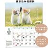 Active Corporation 2027 Desktop Calendar Little Cat 27ACL-537 Cute Cat Theme Sunday Start Made in Japan