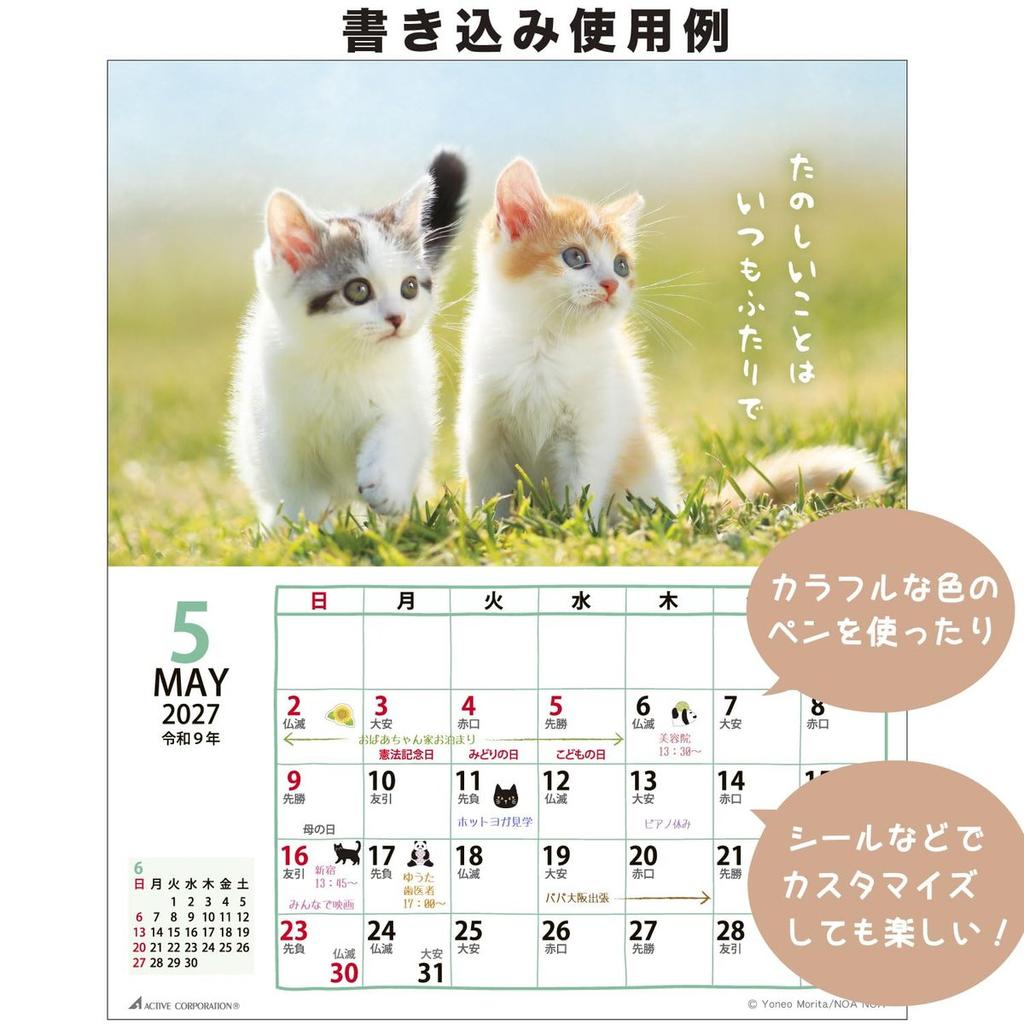 Active Corporation 2027 Desktop Calendar Little Cat 27ACL-537 Cute Cat Theme Sunday Start Made in Japan