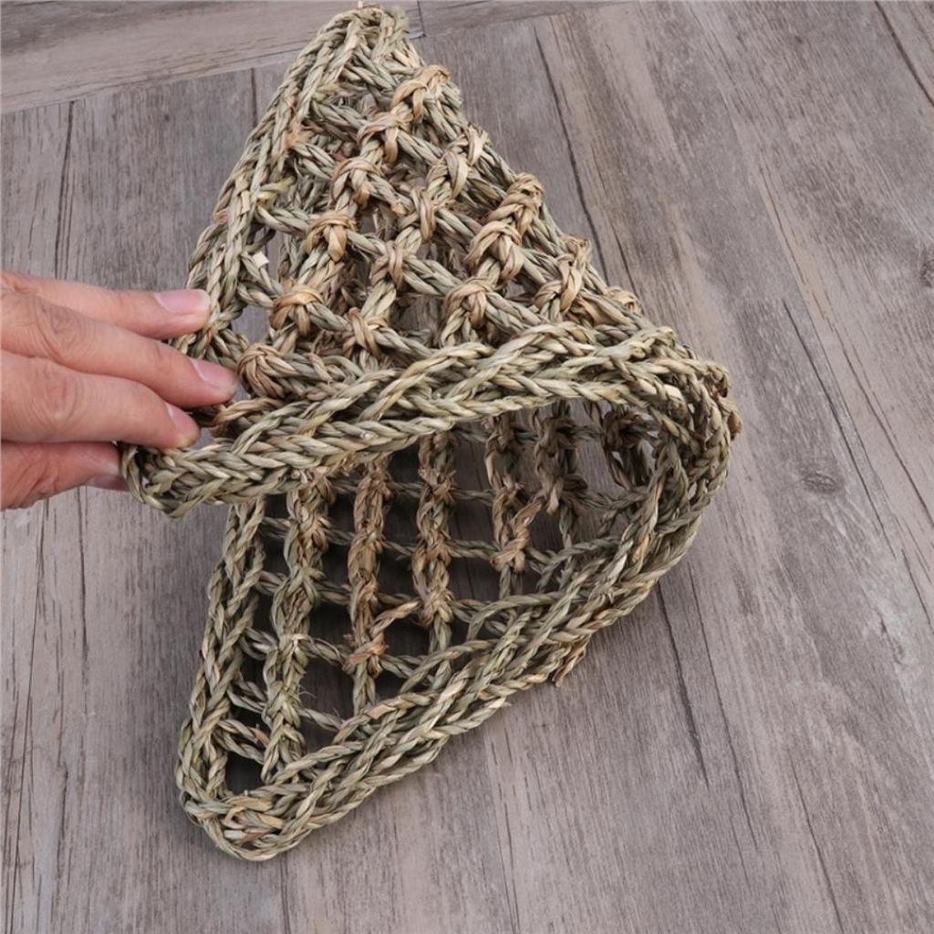 Ještěrka Lehátko Plaz Hračky Houpací síť Houpačka Domácí Zvířata Trojúhelník Anoles Gekoni Leguáni