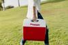 Igloo Playmate Elite Diablo Red (15L) #43362