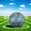 1pc Winter Birds Scene Theme Soccer Ball Football, Size 5, Lightweight PVC, Durable Outdoor Training Soccer Ball, Gift m61475