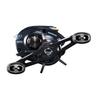 DAIWA Bait Reel STEEZ AII TW 1000H 2022 Model