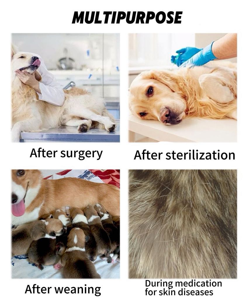 Surgery Recovery Suit Anti Licking Wounds Pet Care Clothes After Surgery Clothes Pet Supplies For Dog Pet Accessories