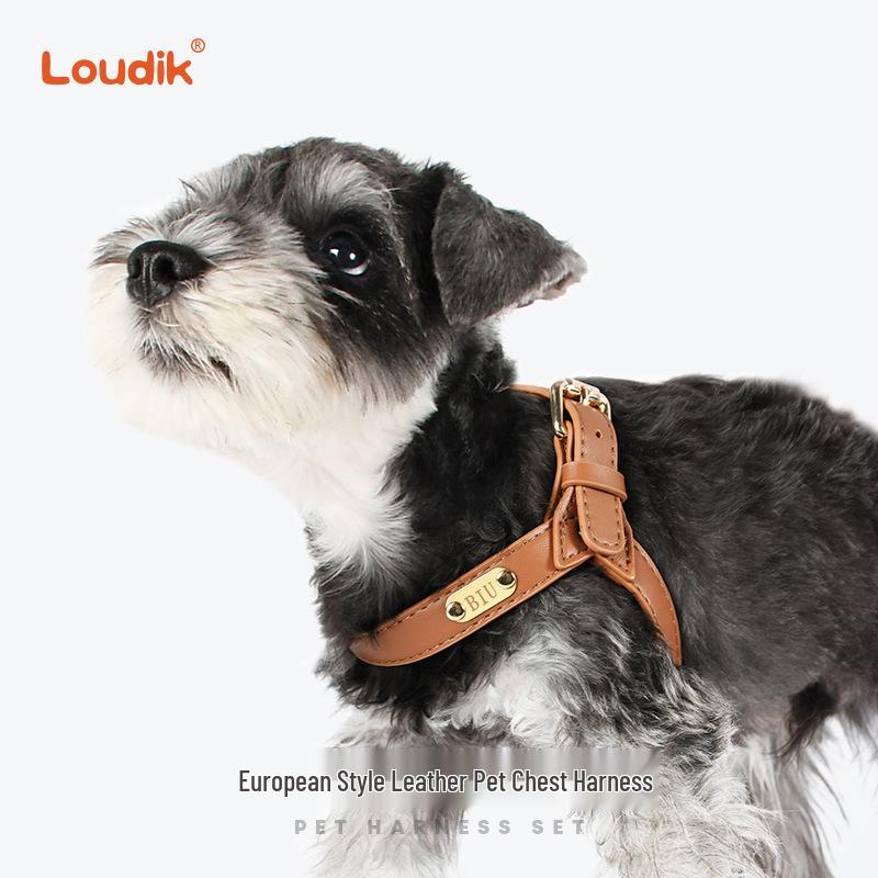 Dego Fashion Wasserdichtes Hundegeschirr & Leinen-Set für Kleine/Mittelgroße Hunde