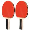 REGAIL  08     Balls Paddles Set Table Tennis Handshake Racket Set for Home Entertainment