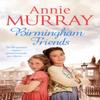 Birmingham Friends by Annie Murray Paperback Book 9781509807871