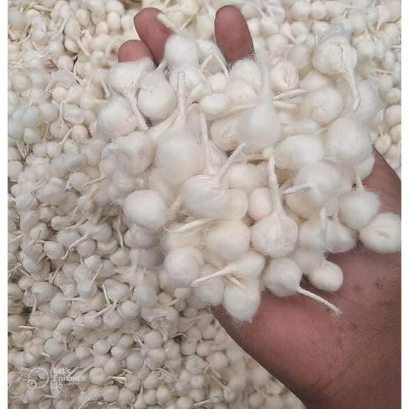 RSINC Full Vat Big | Cotton Wicks for Diya | GOL Batti for Puja 30 Gms JL186527497729