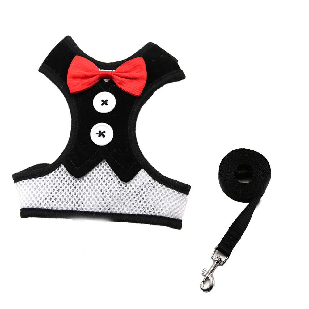 Pet Supplies: Cat & Dog Leashes and Formal Wear for Teddy, Bichon, Schnauzer.