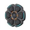 WEZHO Smart Bluetooth Wall Boxing Trainer