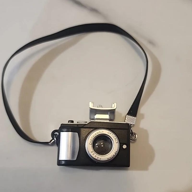 1/6 1/8 1/12 Dollhouse Miniature Digital Slr Camera For Labubu Dolls House Decoration Accessories Simulation Camera Ornaments
