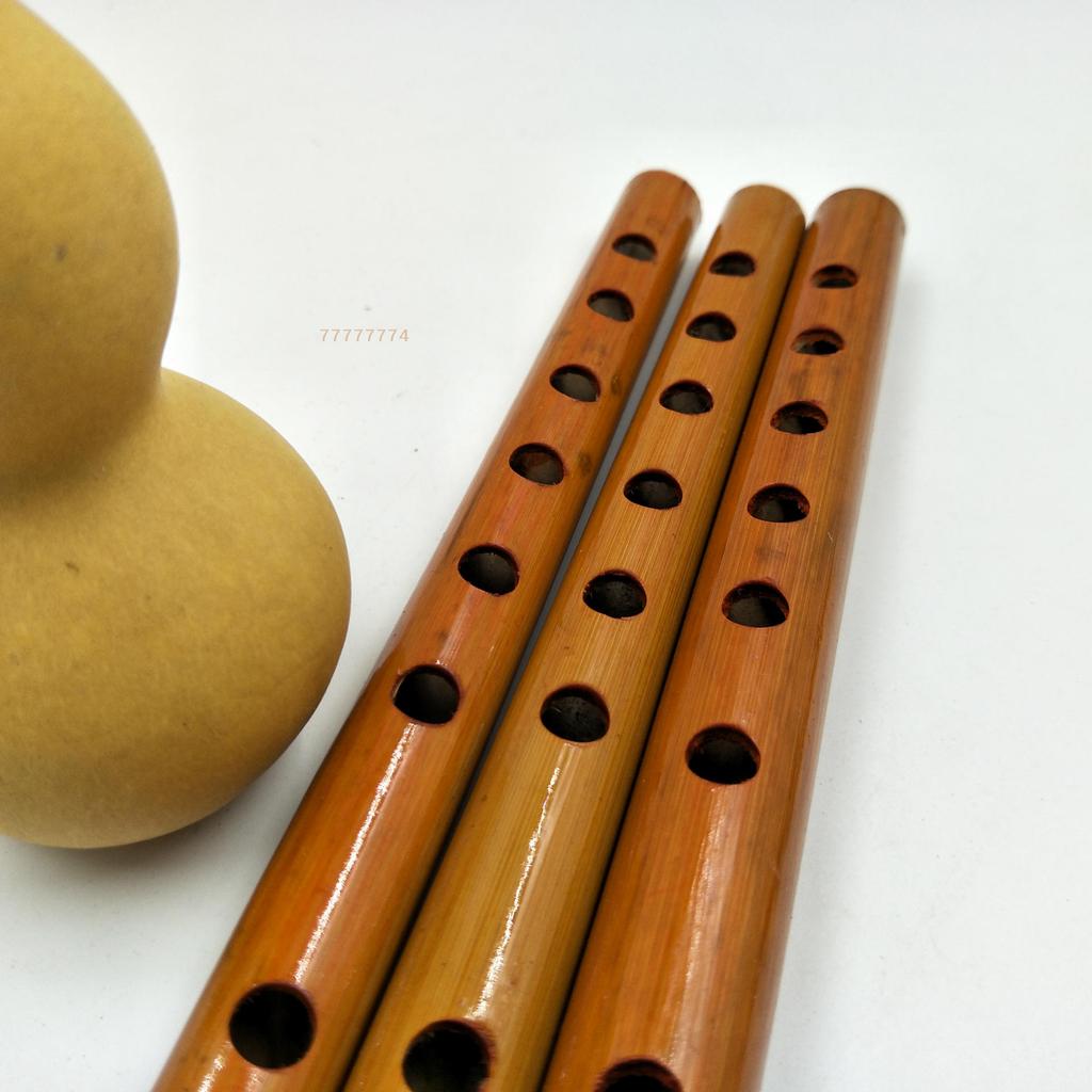 Traditional 6 Hole Bamboo Flute Clarinet Student Musical Instrument Wood AU Musical Instruments Flute