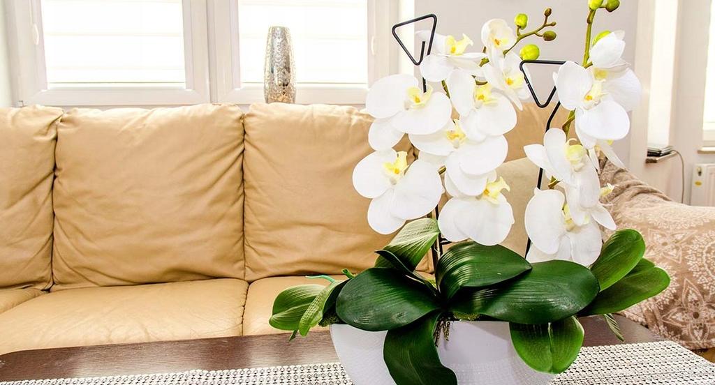 KADAX Orchid Support Plant Support 10pcs 50cm