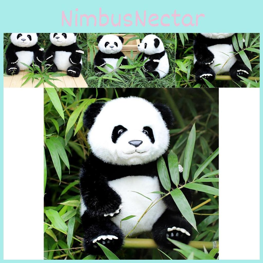 Panda 35cm Lovable Plush Toy Soft And Cuddly Black And White Animal Stuffed