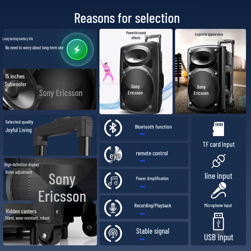 15-inch Portable Bluetooth KTV Speaker with Dual Microphones