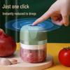 ZISIZ Electric Food Chopper & Garlic Mincer