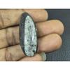 16X43MM Natural Orthoceras Fossil Shell Shape Cabochon Loose Gemstone 50Cts. G-688