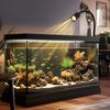 Adjustable Zoom Mini Clip-on Aquarium Lamp Adjustable Focus Spotlight  South American Fish Tank