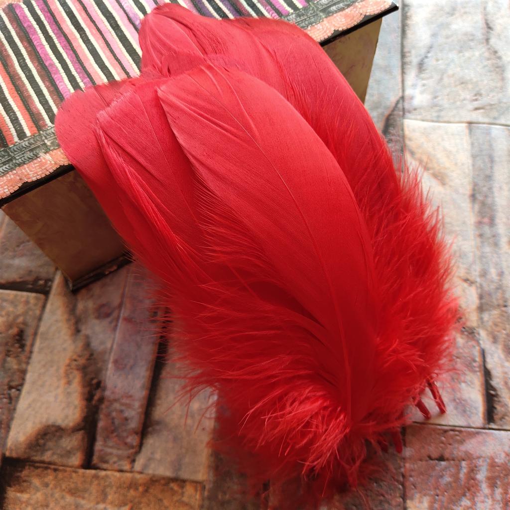 20pcs Natural Goose Feathers 31 Color Loose Goose Feathers 12-20cm Long Christmas Decoration Clothing Shoes Hat Accessories