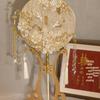 Champagne Bride Fan DIY Kit: Double-Sided Chinese Wedding Round Fan Gift Box