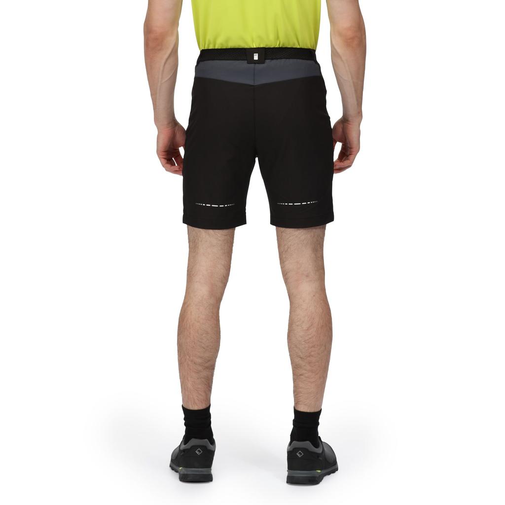 Regatta Mens Mountain II Shorts