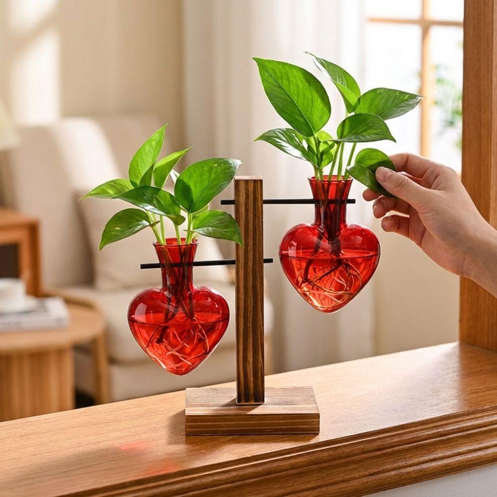 Transparent Hydroponic Plant Vase 3/2 Bottle Wooden Frame Vase  Living Room