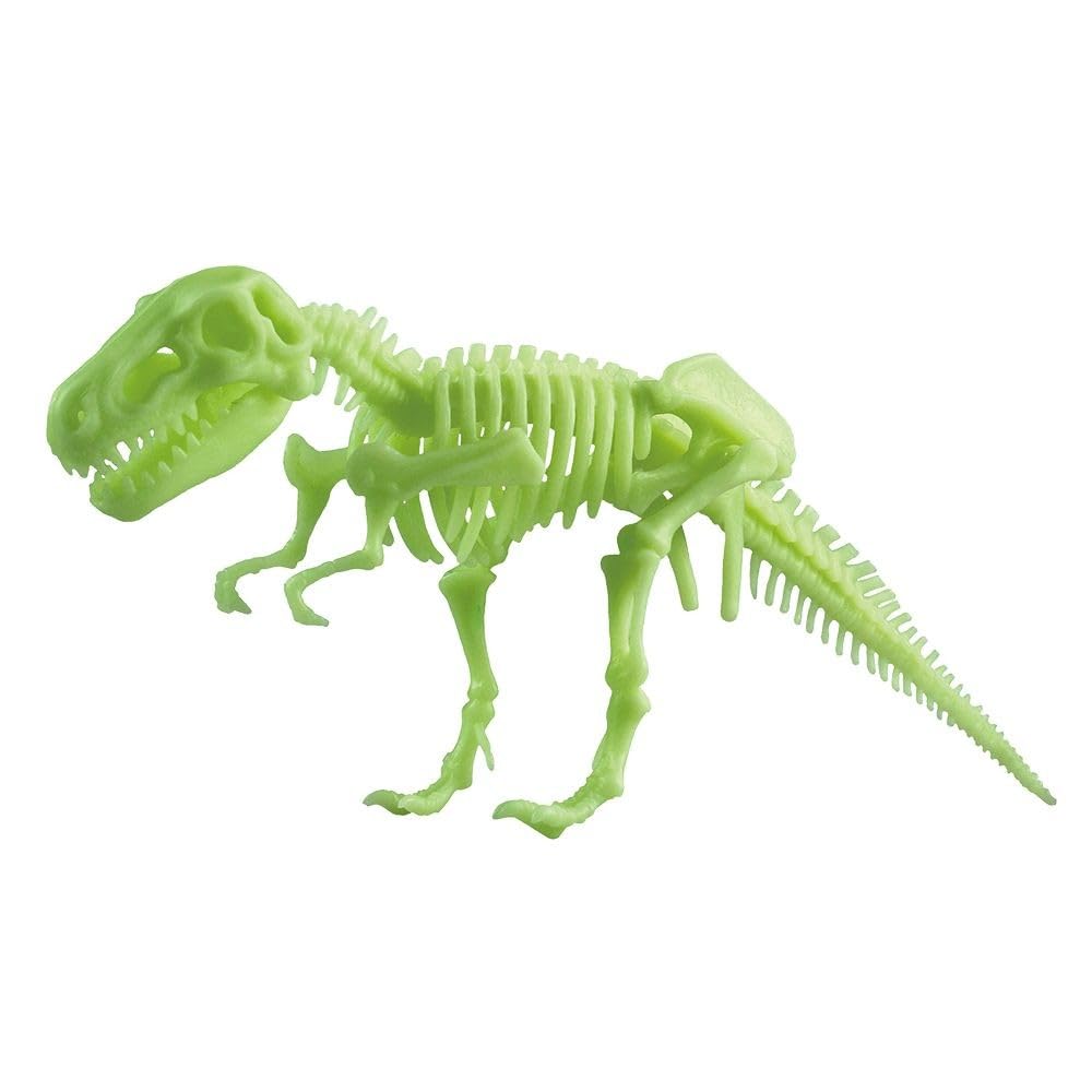

Image Mission Kikyousha Glow Dinosaur Skeleton Tyrannosaurus VT048