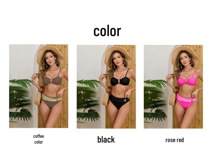 Hot-Selling Sexy Solid Color Split Bikini Swimwear for Women
