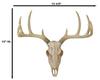 Ebros Gift Rustic Hunter Deer Back Skull Trophy Antler Wall Hanging Decorative Frame Trophy Ornament Inches Hunter Antler Rack Theme Deer Hunting
