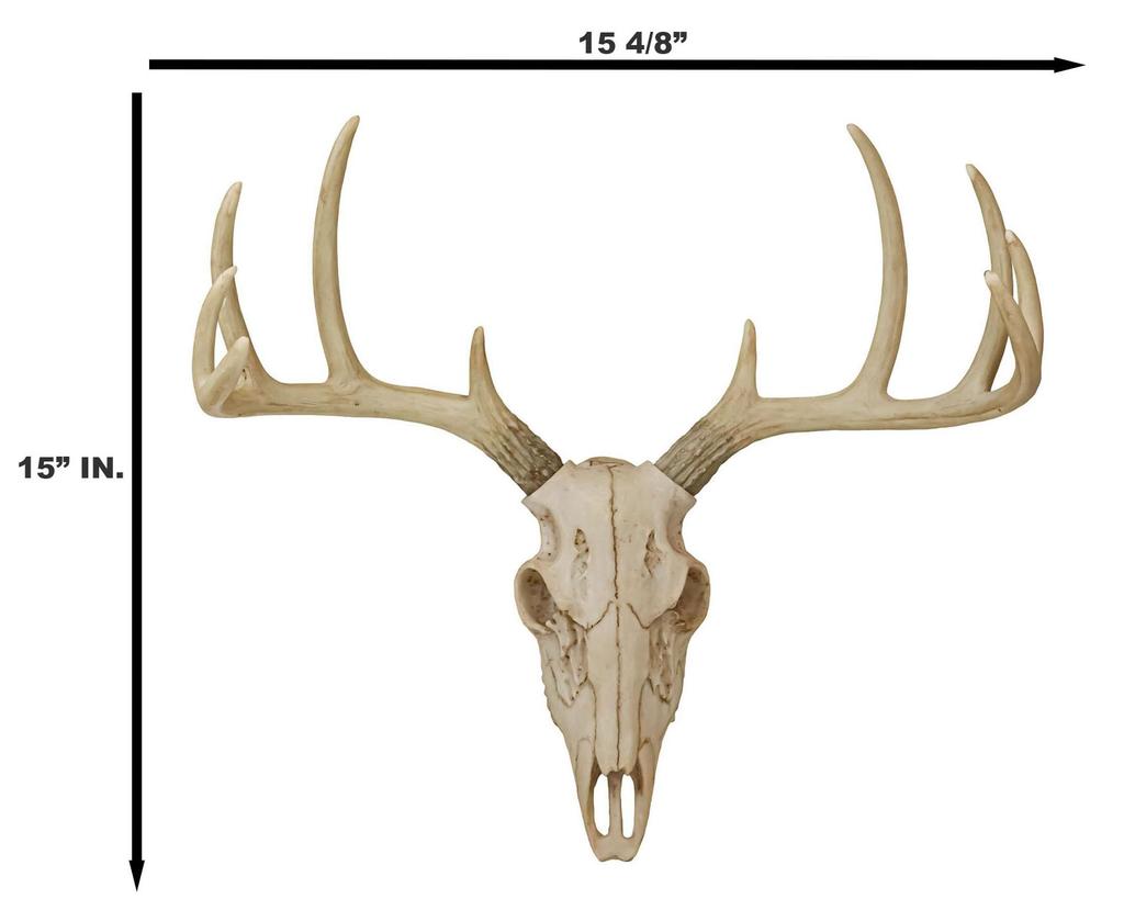 Ebros Gift Rustic Hunter Deer Back Skull Trophy Antler Wall Hanging Decorative Frame Trophy Ornament Inches Hunter Antler Rack Theme Deer Hunting
