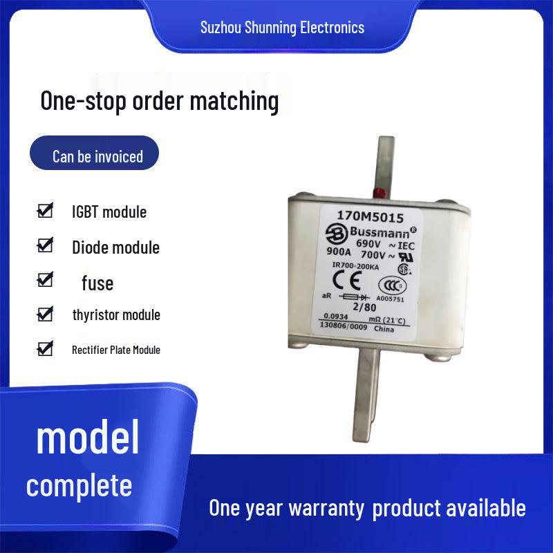 Original New 170M5065 170M5066 170M5067 Fuses - Full Model Range Available