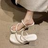 Small Thick Heel Slippers Women's 2025 New Summer Transparent Belt Outer Wear Fashion Temperament with Skirt Beach Sandals